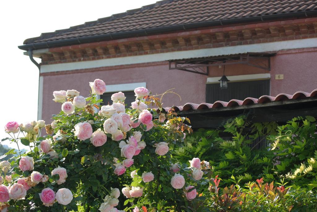 B&B La Ca Cita Cortazzone Exterior foto